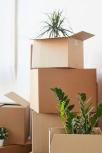 Haushaltsauflösung Übach-Palenberg - Haushaltsauflösung - Betriebsauflösung - Umzüge - Transporte - Entsorgungen - Entrümpelungsservice